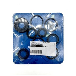 Oil Seals Kit Rebuild Kits (Overhaul Kits) CENTAURO