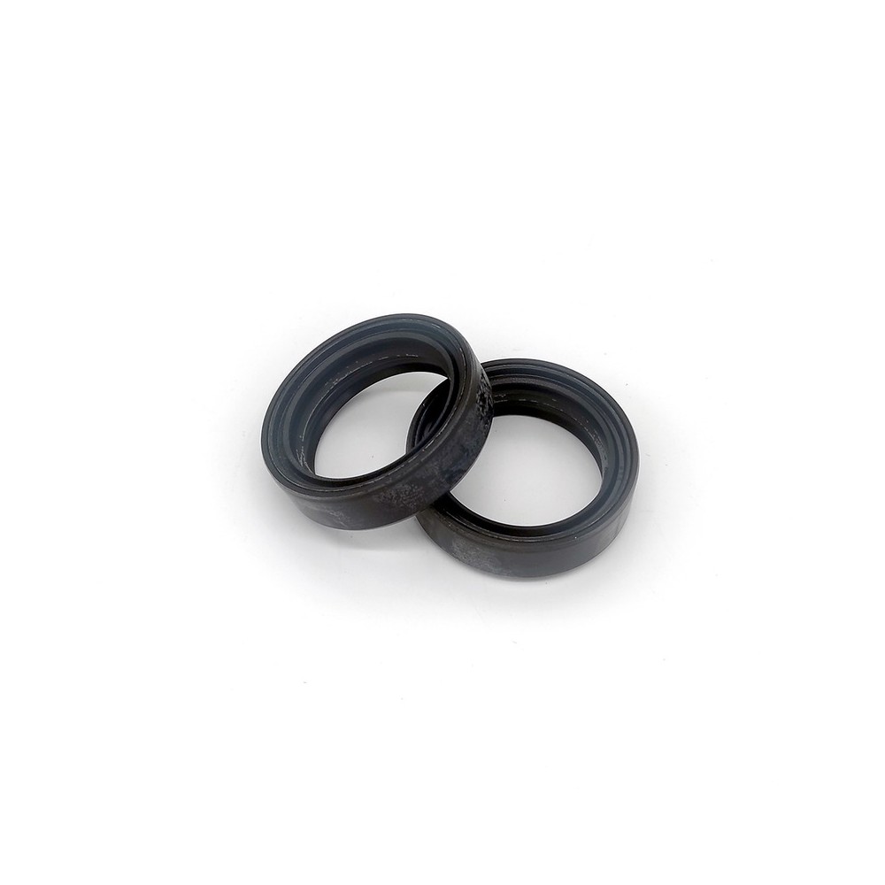 Fork Oil Seals Kit - 111A031FK