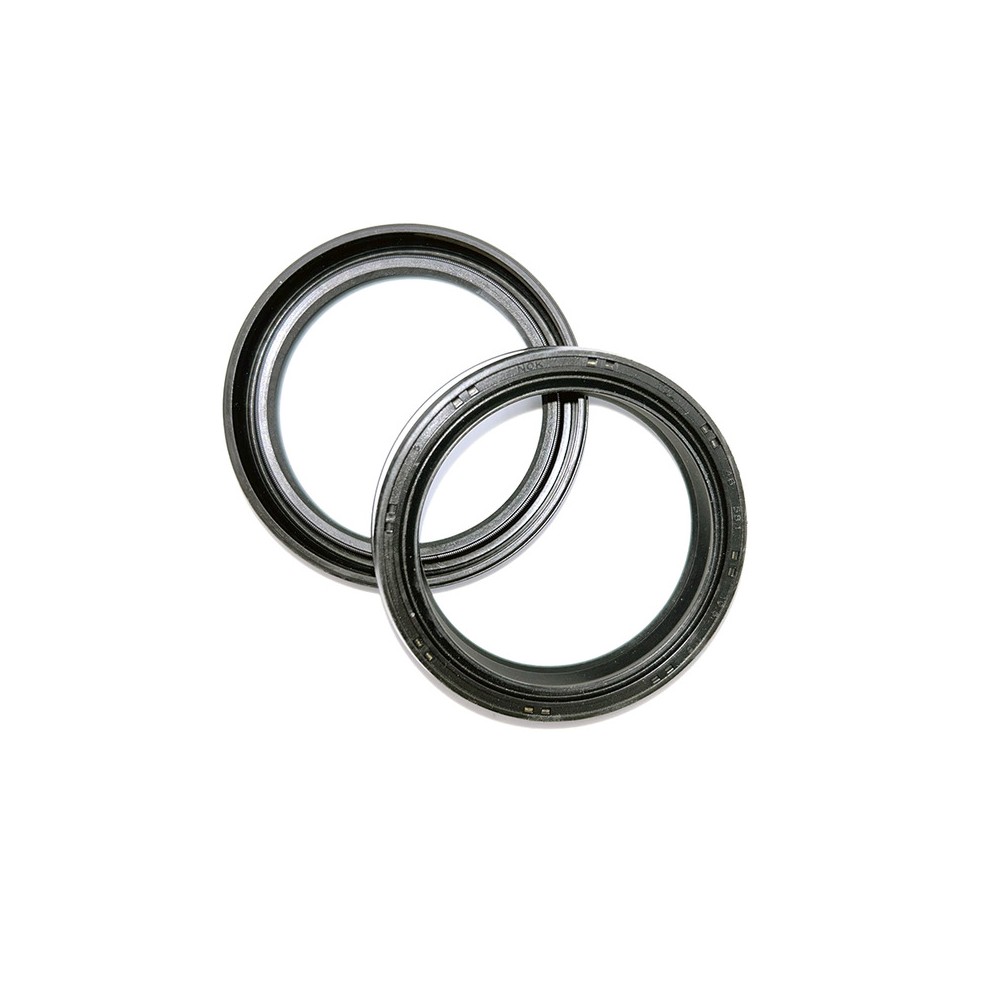 Fork Oil Seals Kit - 111A106FK