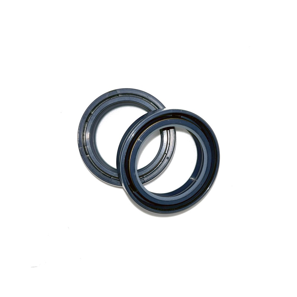 Fork Oil Seals Kit - 111A132FK