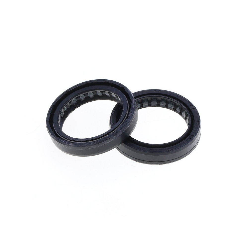 Fork Oil Seals Kit - 111A136FK