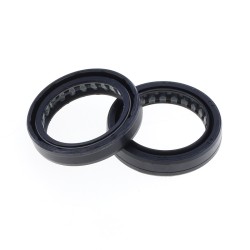 Fork Oil Seals Kit - 111A136FK