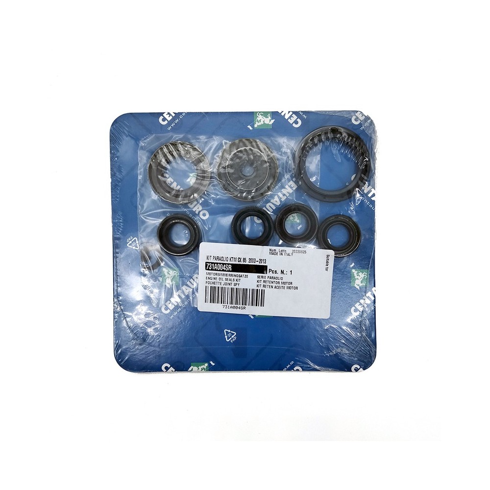 Oil Seals Kit - 731A004SR