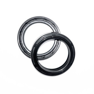 Fork Oil Seals Kit - 111A169FK