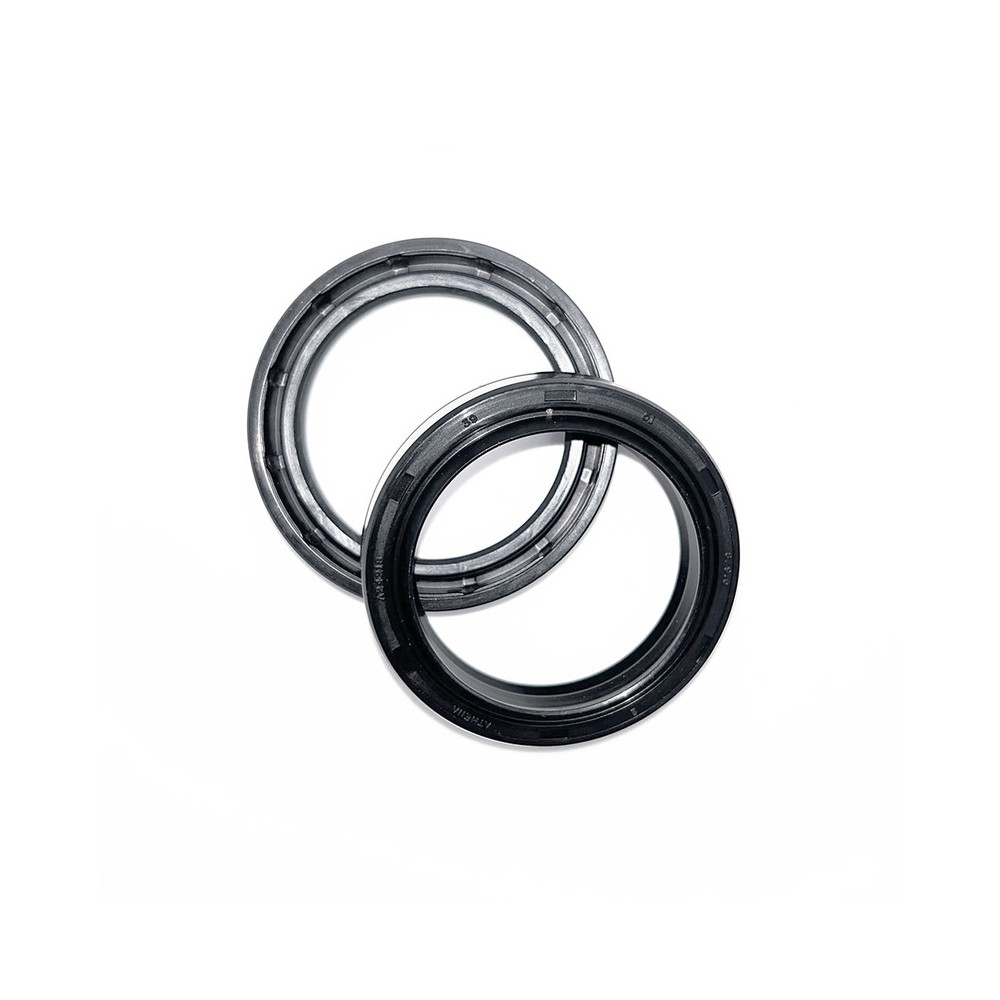 Fork Oil Seals Kit - 111A169FK