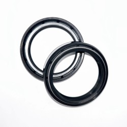 Fork Oil Seals Kit - 111A197FK
