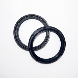 Fork Oil Seals Kit - 111A199FK