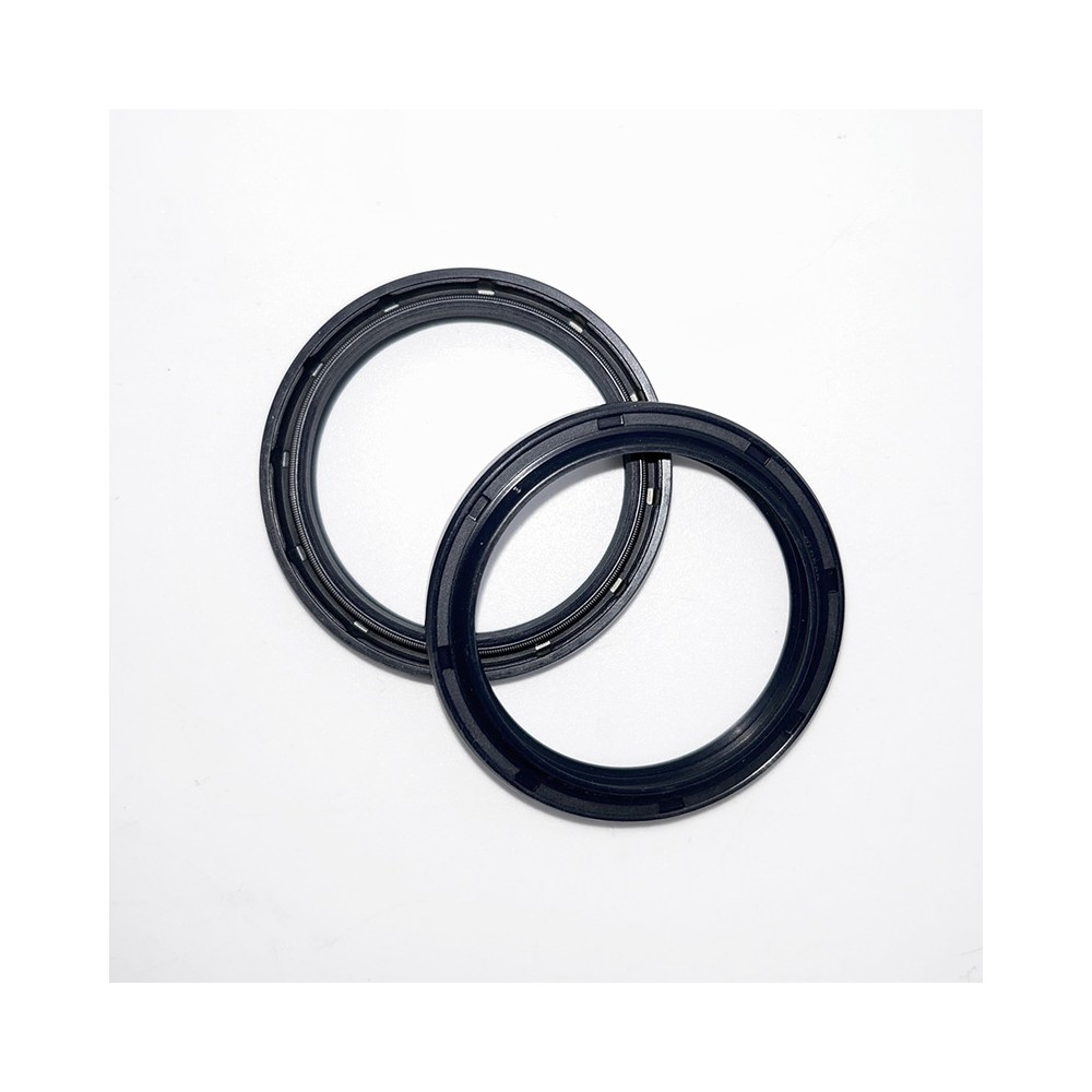 Fork Oil Seals Kit - 111A199FK