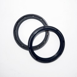 Fork Oil Seals Kit - 111A199FK