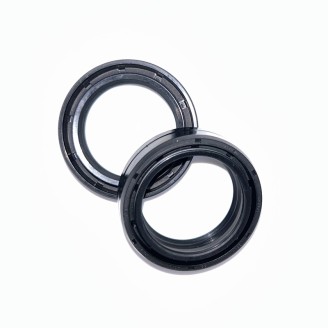 Fork Oil Seals Kit - 111A202FK