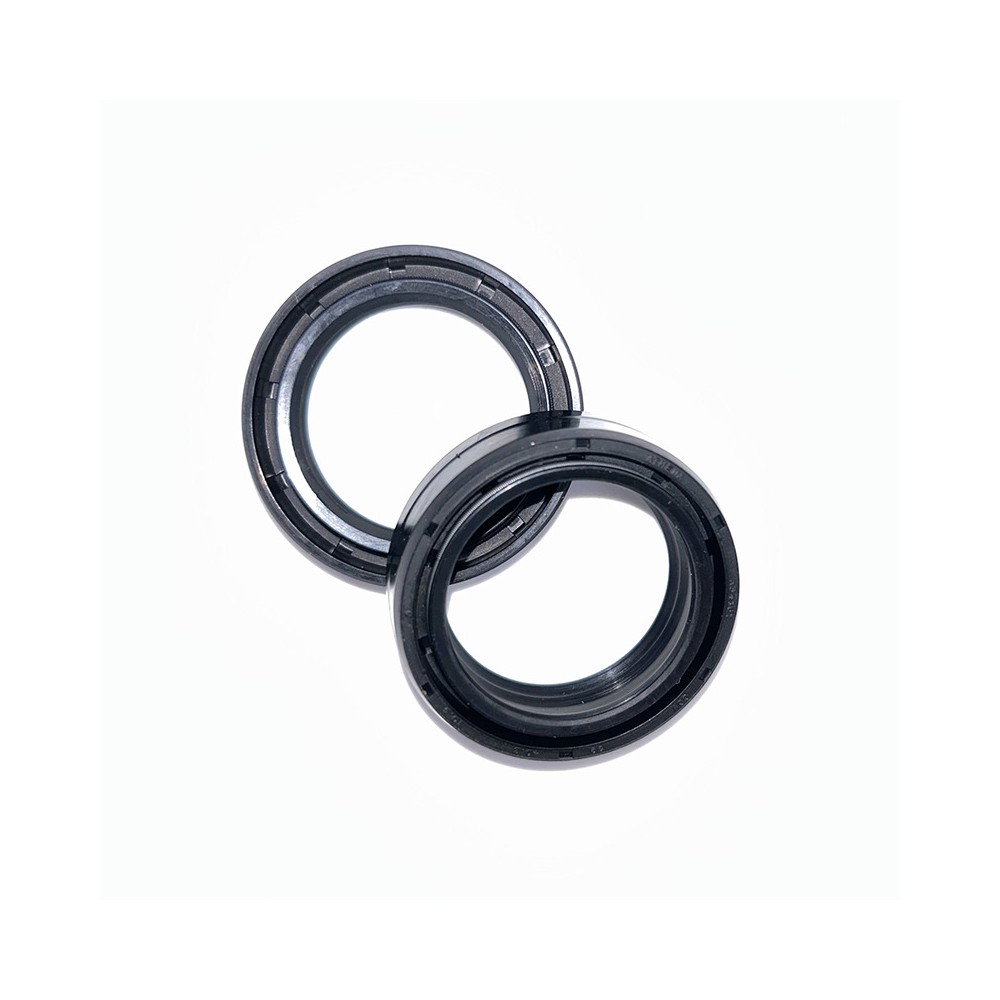 Fork Oil Seals Kit - 111A202FK