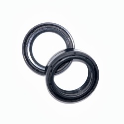Fork Oil Seals Kit - 111A202FK