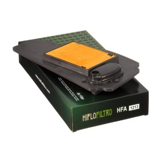 Air Filter Honda Forza X 250 - HFA1213