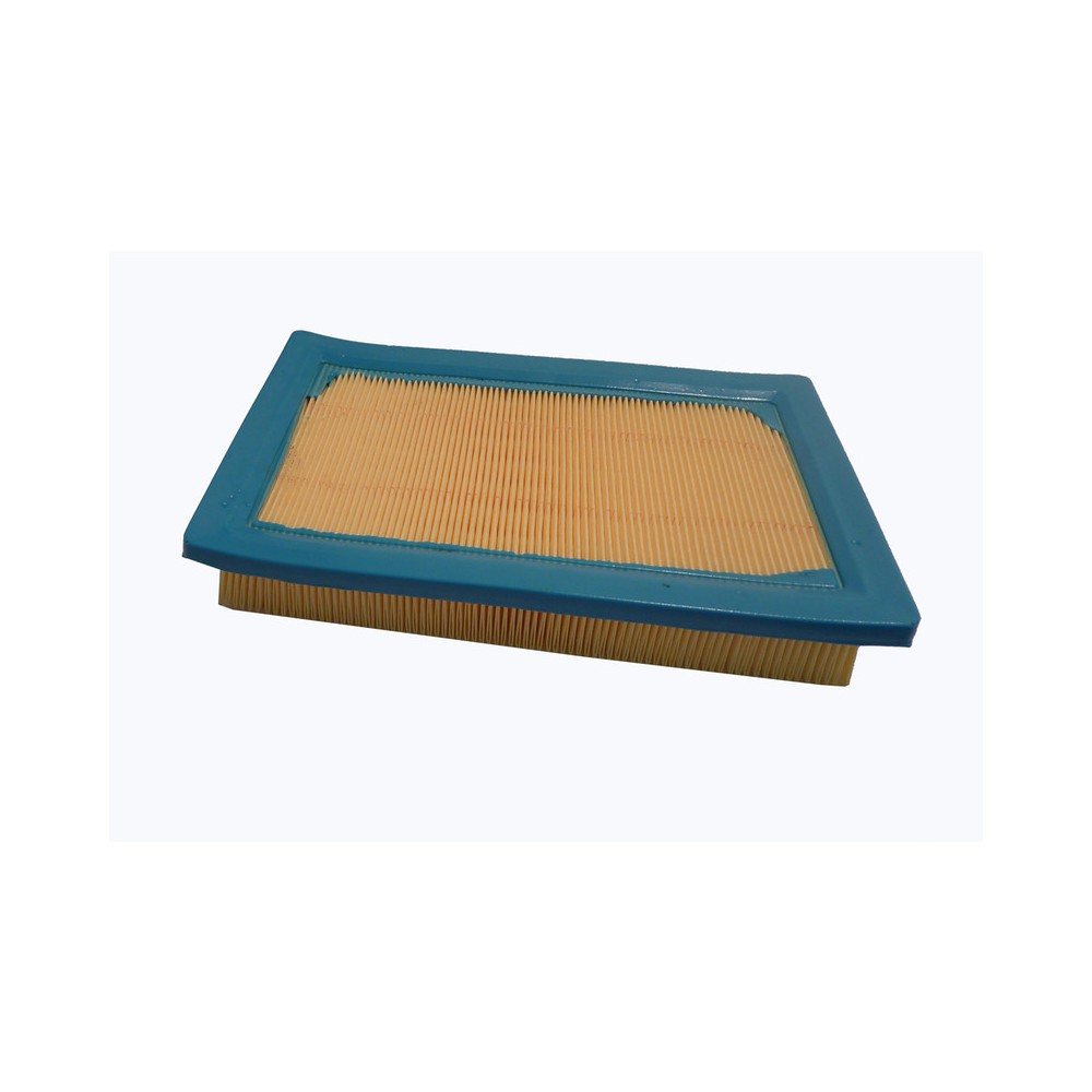 Air Filter Porter 1300 98-09 - 30.088.00