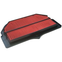 Filtro Aria Suzuki Gsx-R600/750/1000 01-03 per SUZUKI GSX-R 600/750/00 01-03 Filtri Aria HIFLO FILTRO