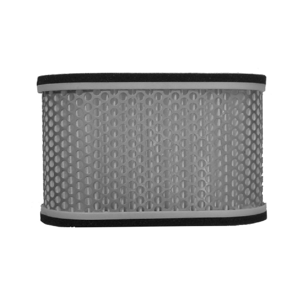 Air Filter Yamaha Yzf 1000 R198-01 - HFA4907
