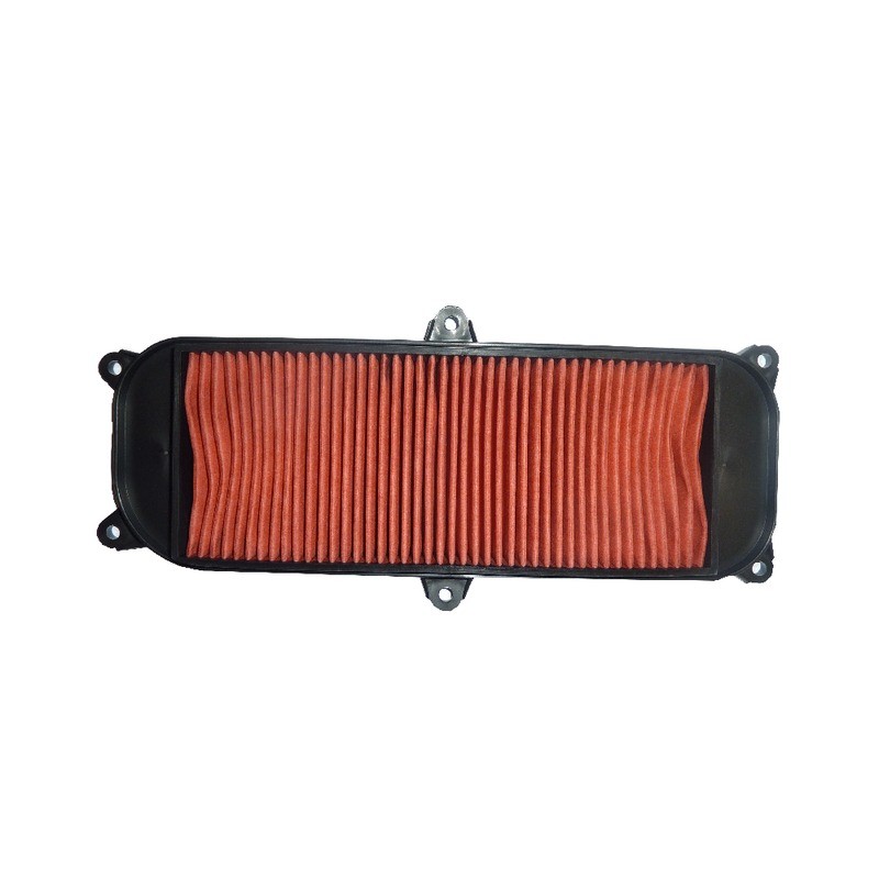 Filtro Aria Kymco People 250 S03-12 per KYMCO People 250 /S /S ie 250 03-12 Filtri Aria HIFLO FILTRO