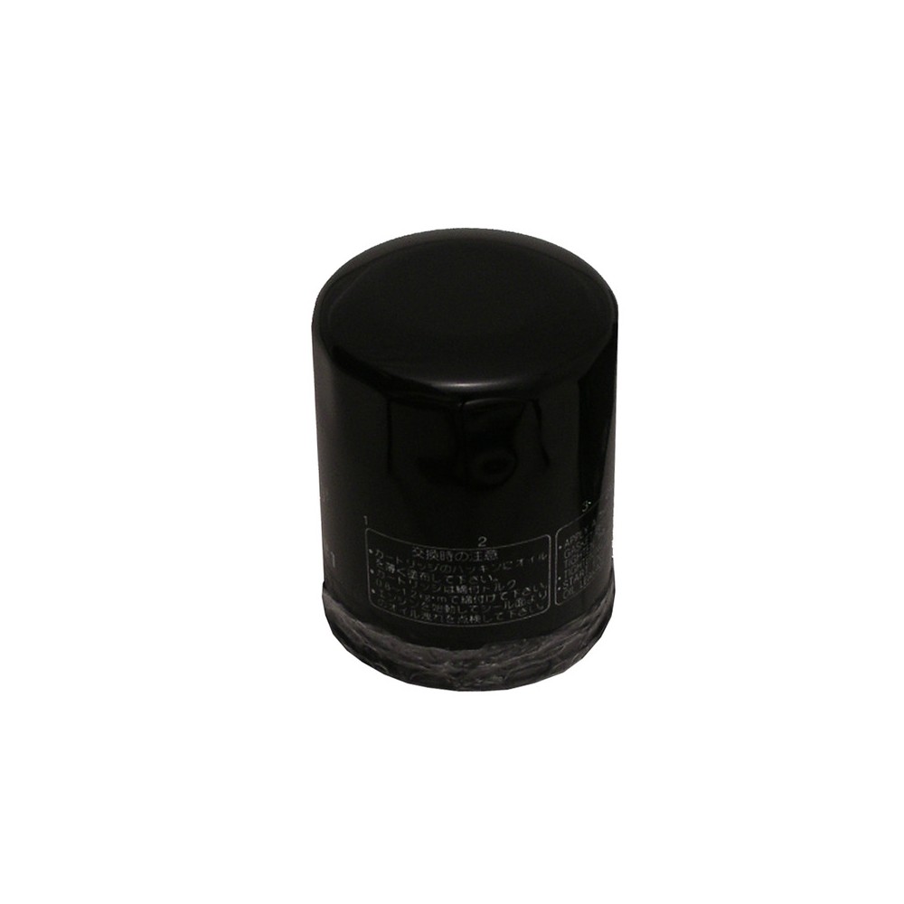 Oil Filter Arctic Cat 650 - HF621