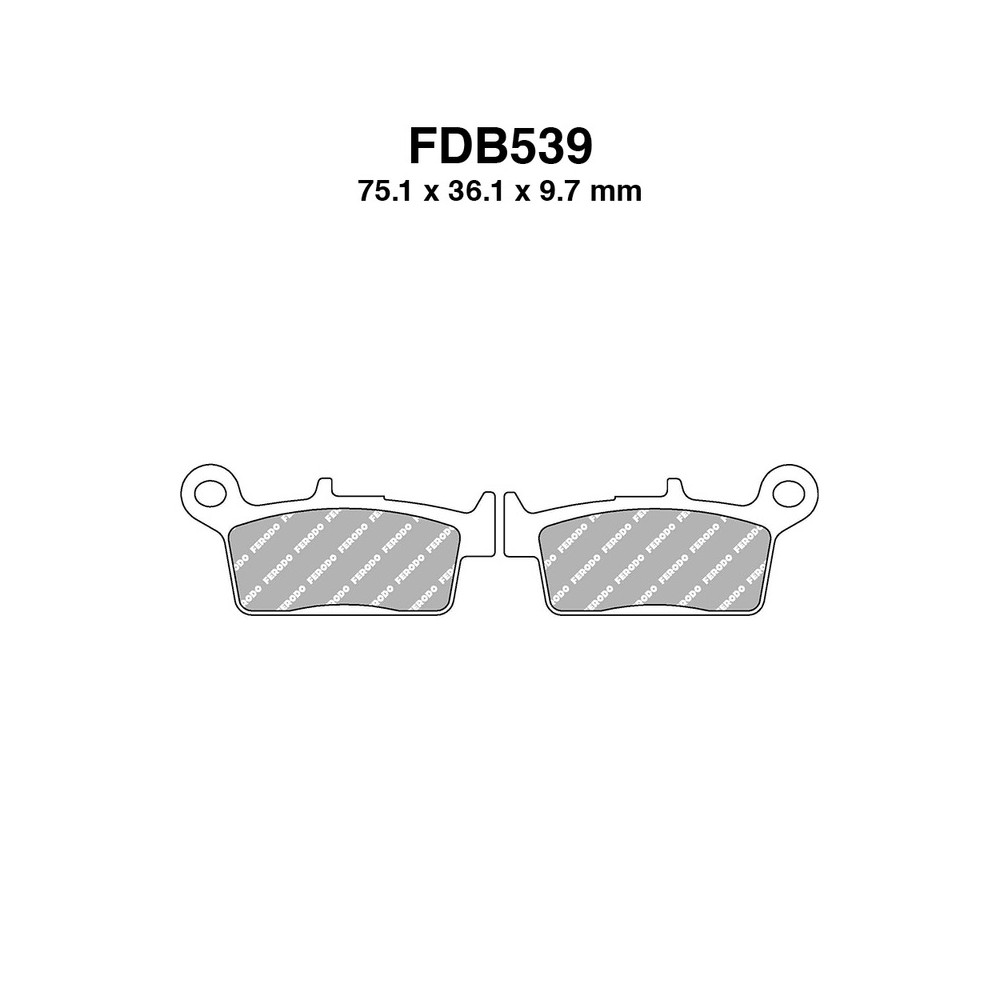 Ferodo Brake Pads FDB539SG for GAS GAS GASGAS EC 125/250/300 00 and other model Brake Pads Ferodo