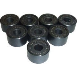 Rollers for YAMAHA XC Versity 300 04-05 Rulli Variatore Bando