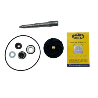 Girante frizione FERODO FCC0537 Piaggio Beverly 500cc 20022004 Kupplungsimpeller Ferodo