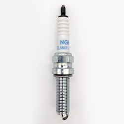 Candela Ngk SILMAR10C9SSTOCK Nr.95468 per HONDA CBR 00 RR SP2 nd