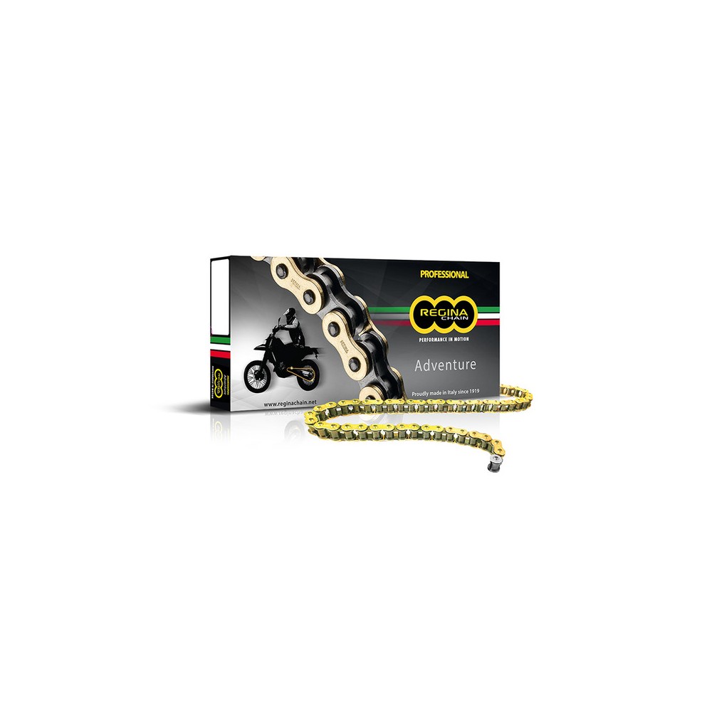 Regina Chain 135ZRE130 Links 520 Pitch - 135ZRE/1032