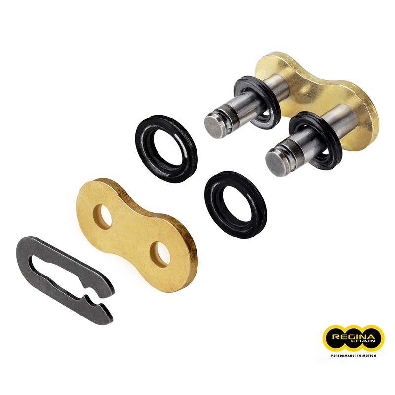 Conn.Link Regina 135ZSETYPE 42 520 Pitch Chains REGINA
