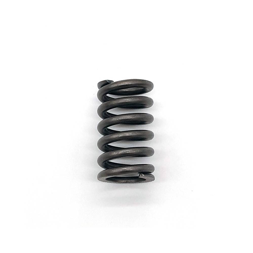 Clutch Spring Kit CSK078 - CSK078
