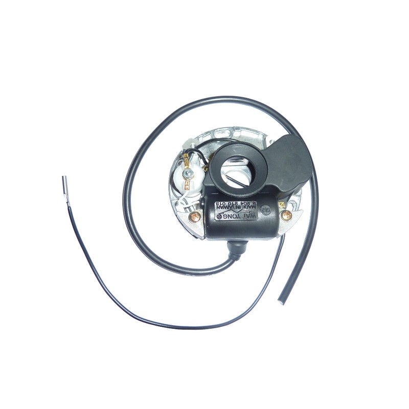 Stator Garelli/Guzzi/BENELLI50cc Stators OKYAMI