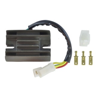 Regulator - RM30407
