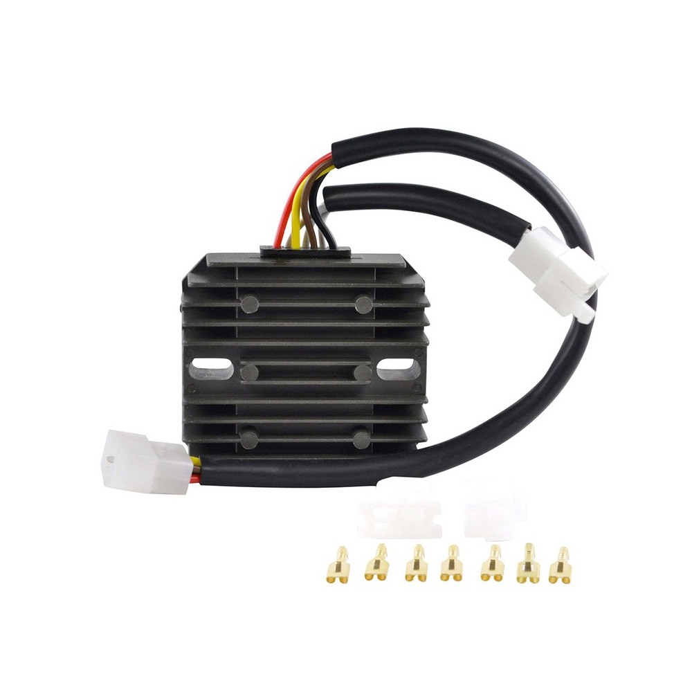 Regulator - RMS020-101453