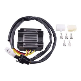 Regulator - RMS020-103057