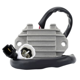 Regulator - RMS020-107253