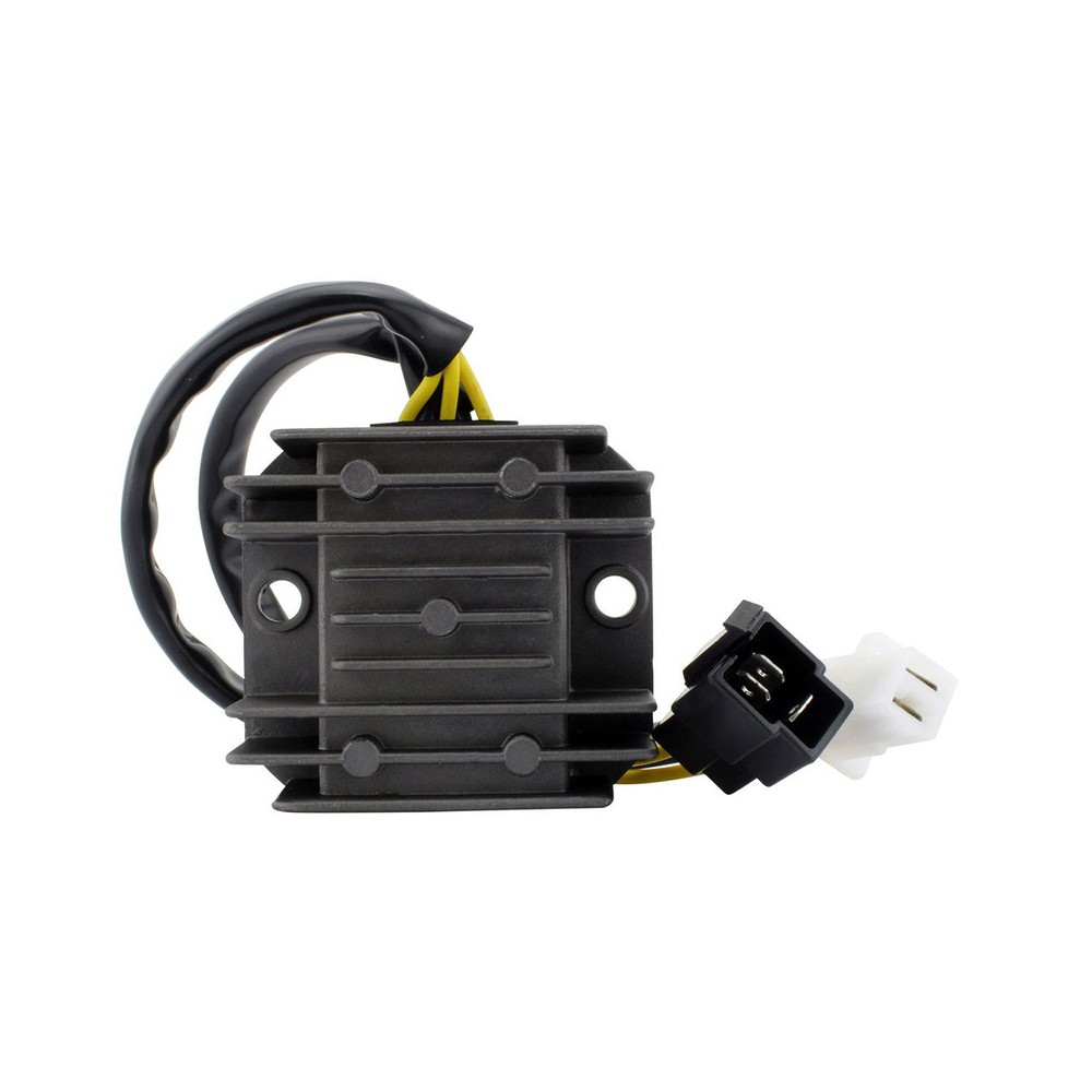 Regulator - RMS020-107313