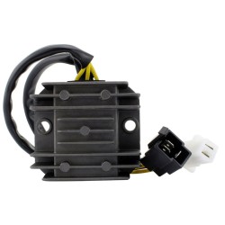 Regulator - RMS020-107313