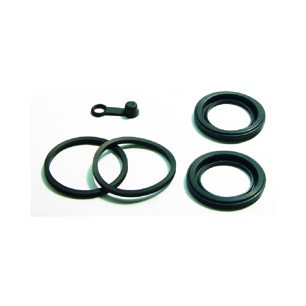 Caliper Sealing Kit Re.Kawakz 1000 77-80 -
