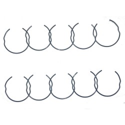 Anelli Elastici Per FORCELLE1,6X46MM Blister 10PZ