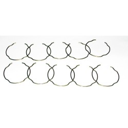 Anelli Elastici Per FORCELLE1,6X48MM Blister 10PZ