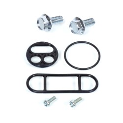 Fuel Petcock Repair Kit Quad -