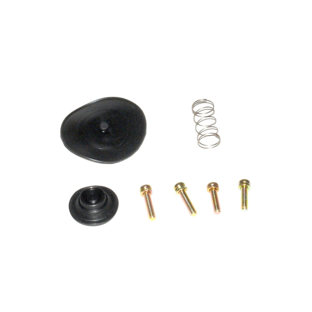 Fuel Petcock Repair Kit -