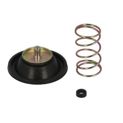 Diaframma Carburatore HONDAGL1200A Aspencade 86-87 per HONDA GL1200A ASPENCADE 86-87 e altri modelli Überholungssets TOURMAX