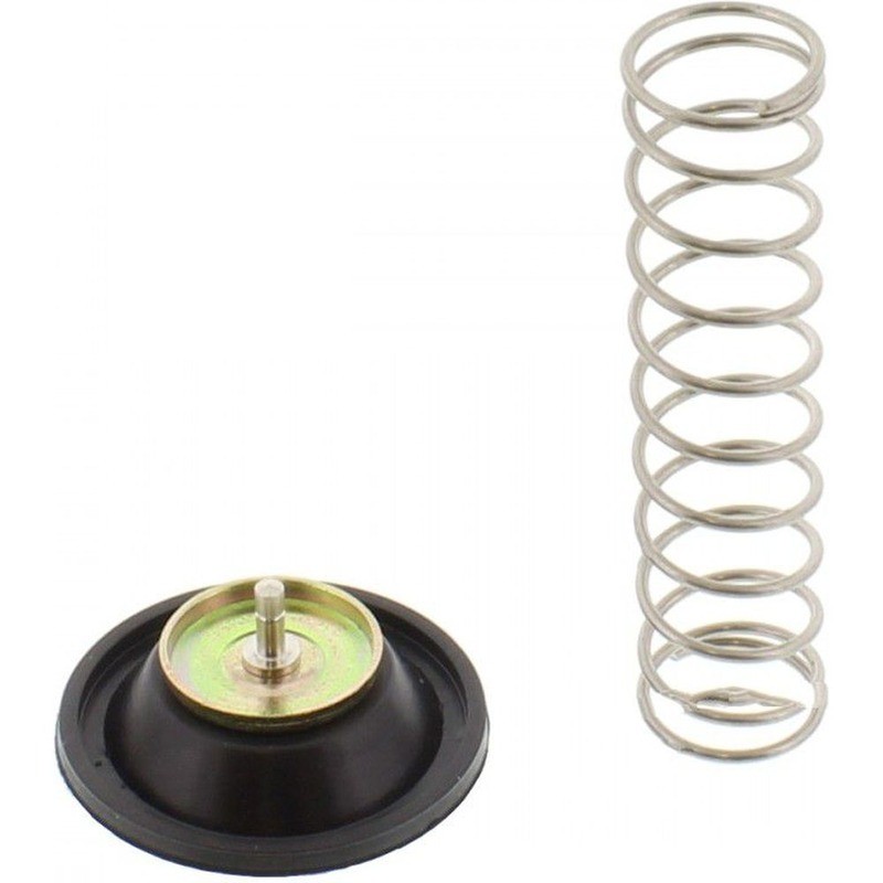 Diaframma Carburatore HONDAVT600C/Cd 99-07 per HONDA VT600C/CD 99-07 e altri modelli Kit de revisión TOURMAX
