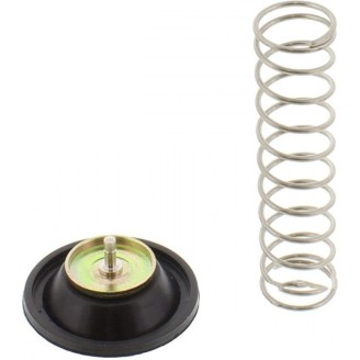 Kits de Reparación | Los kits de reparación incluyen juntas, retenes, juntas tóricas y piezas pequeñas necesarias para poner a punto motor, pinzas de freno, bombas de agua y de embrague. Sirven para eliminar fugas de aceite, líquido de frenos o refrigerante causadas por el desgaste.El catálogo incluye kits de juntas de motor, kits de reparación de pinza de freno, bombas de agua y embrague, manguitos de admisión y retenes en las medidas más comunes, con marcas como TOURMAX, CENTAURO, ARIETE, Frenkit, MAGNETI MARELLI, GRIMECA, WRP y OKYAMI. La elección correcta se hace por modelo y cilindrada de la moto, por el código original o por las medidas exactas de la pieza.