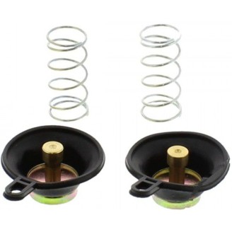 Diaframma Carburatore SUZUKIVX800L 90-93 per SUZUKI VX800L/M/N/P 90-93 e altri modelli Kit de revisión TOURMAX