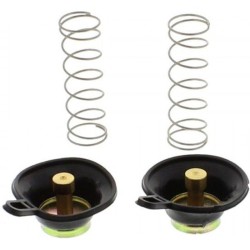 Air Cut Off Valves SUZUKIVS1400GLPH/Glpj Intruder 87-88 for SUZUKI VS1400GLPH/GLPJ INTRUDER 87-88 and other model Rebuild Kits (Overhaul Kits) TOURMAX