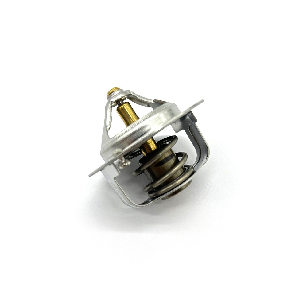 Thermostat Assy -