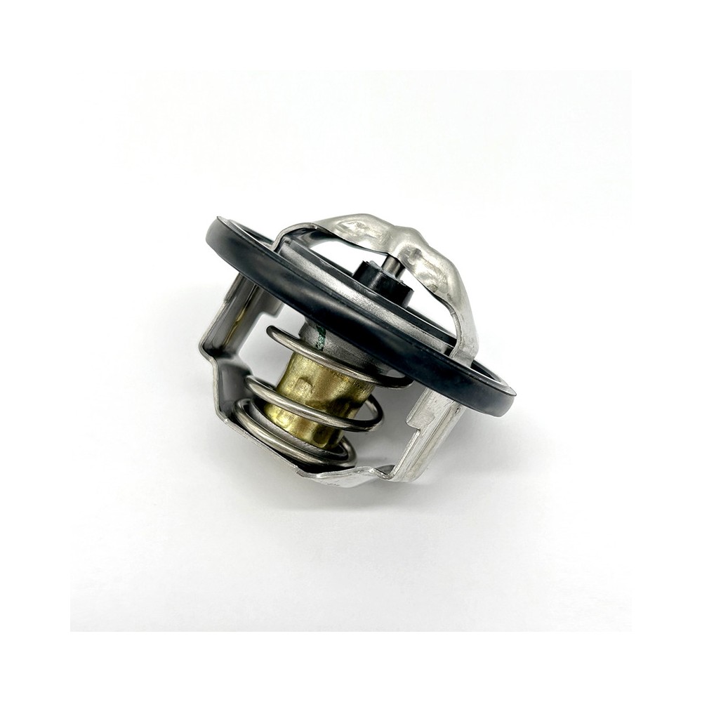 Thermostat Assy -