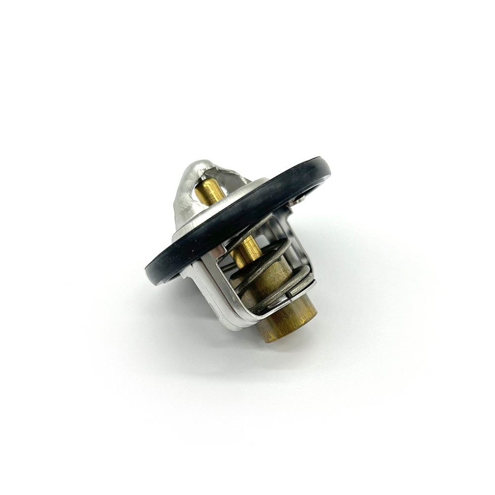 Thermostat Assy -