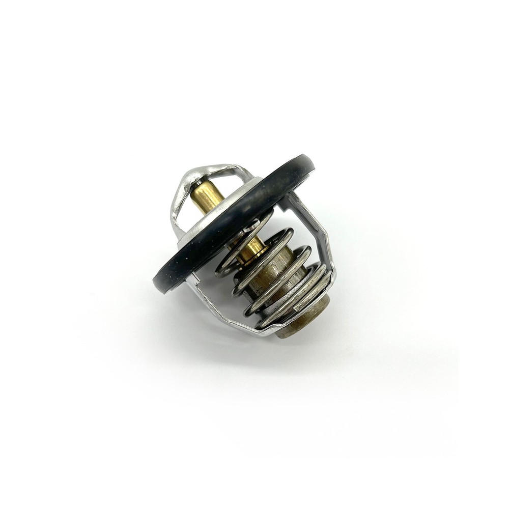 Thermostat Assy -